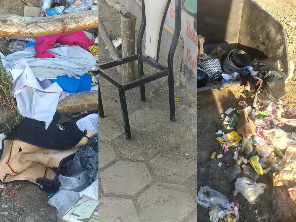 InShot_20260121_145019919